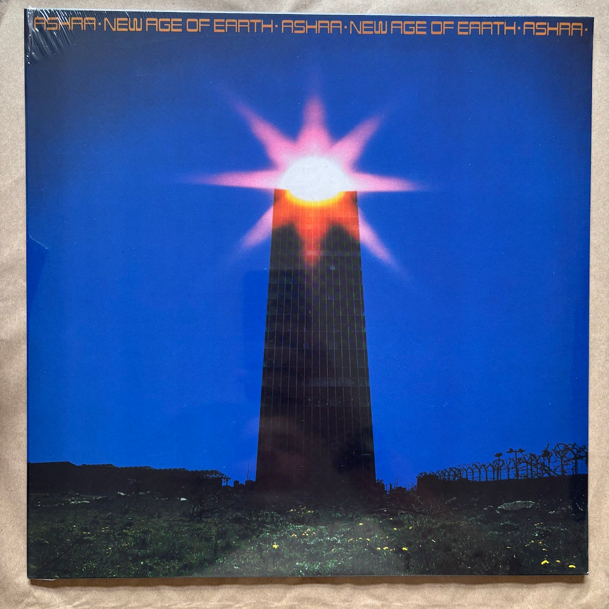 ASHRA Walkin' The Desert アシュラ LP レコード Ashra – Desert - Walkin' The the of New Age | Earth Of Manuel