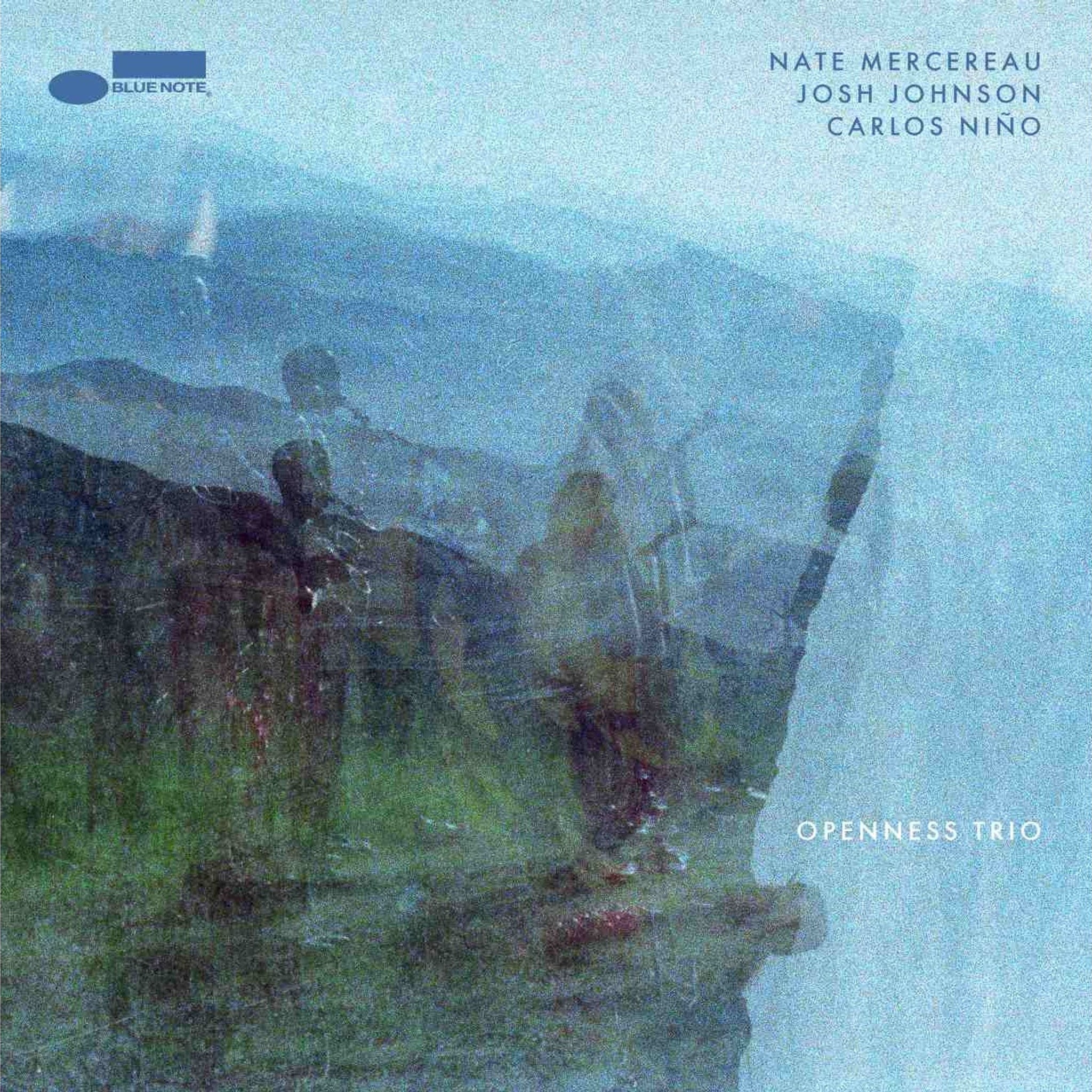 Openness: Vinyl LP