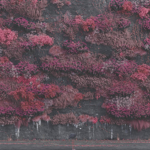 Even In Arcadia: Black Double Vinyl LP