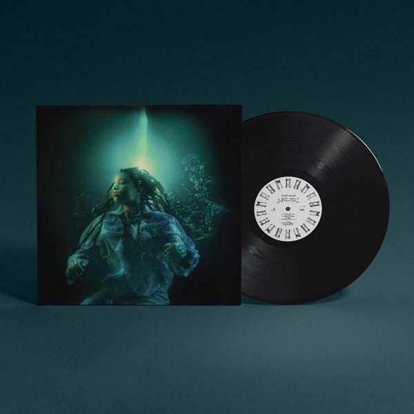 A Room with a Door That Closes: Vinyl LP