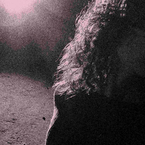ghostholding: Baby Pink & Black Splatter Double Vinyl LP