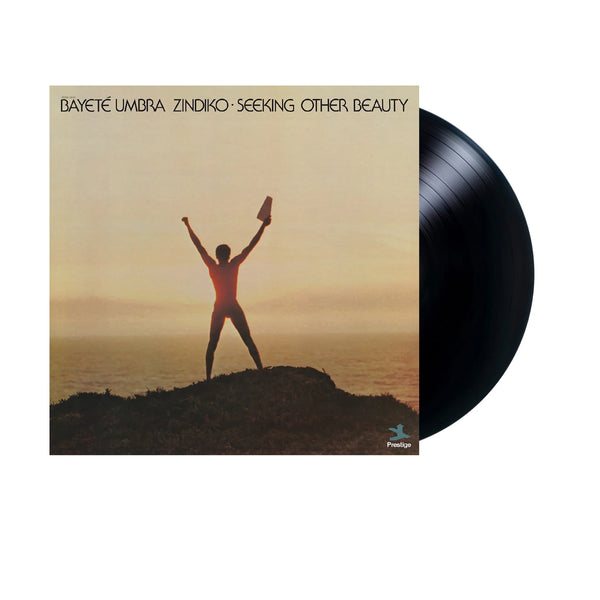 Seeking Other Beauty