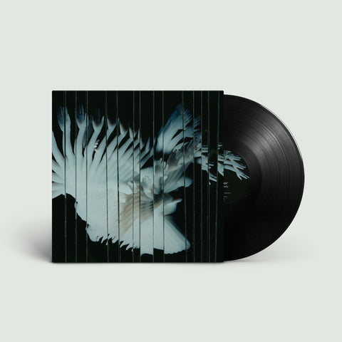 Endlessly: Vinyl LP