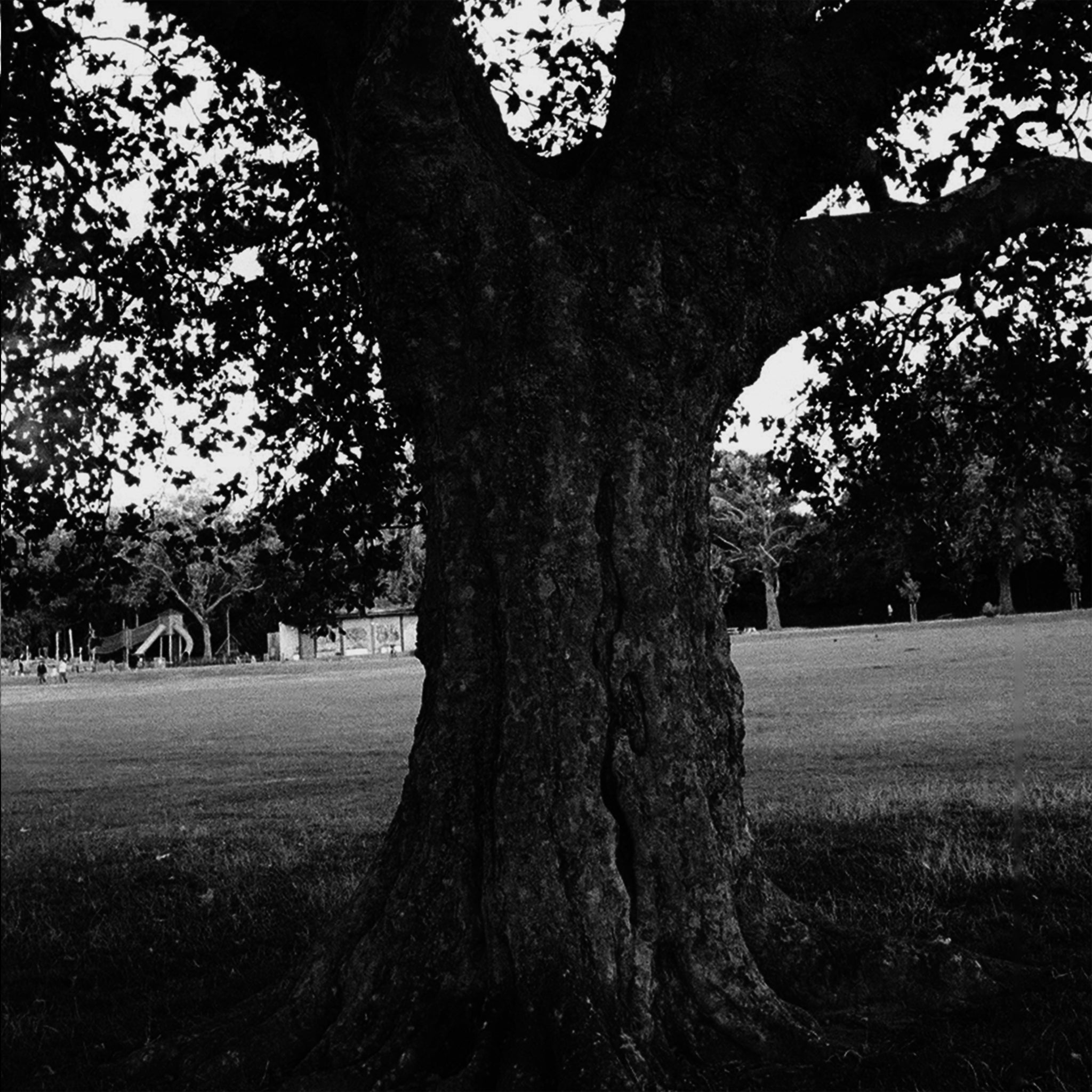 A New Place 2 Drown (Instrumentals): Vinyl LP