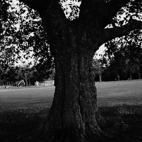 A New Place 2 Drown (Instrumentals): Vinyl LP