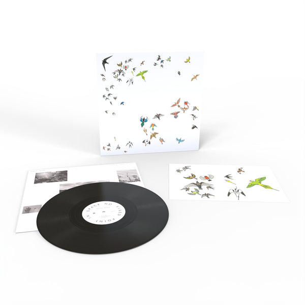 No Fixed Point In Space: Vinyl LP