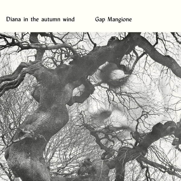 Diana In The Autumn Wind: Vinyl LP