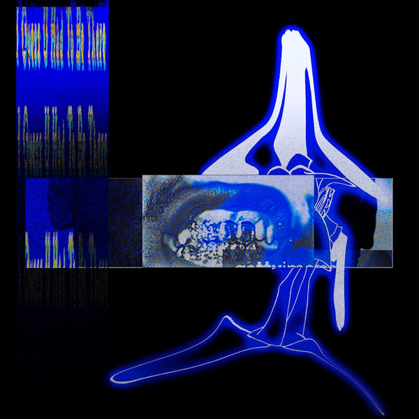 I Guess U Had To Be There: Transparent Vinyl LP