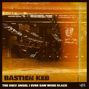 The Only Angel I Ever Saw Wore Black: Vinyl LP