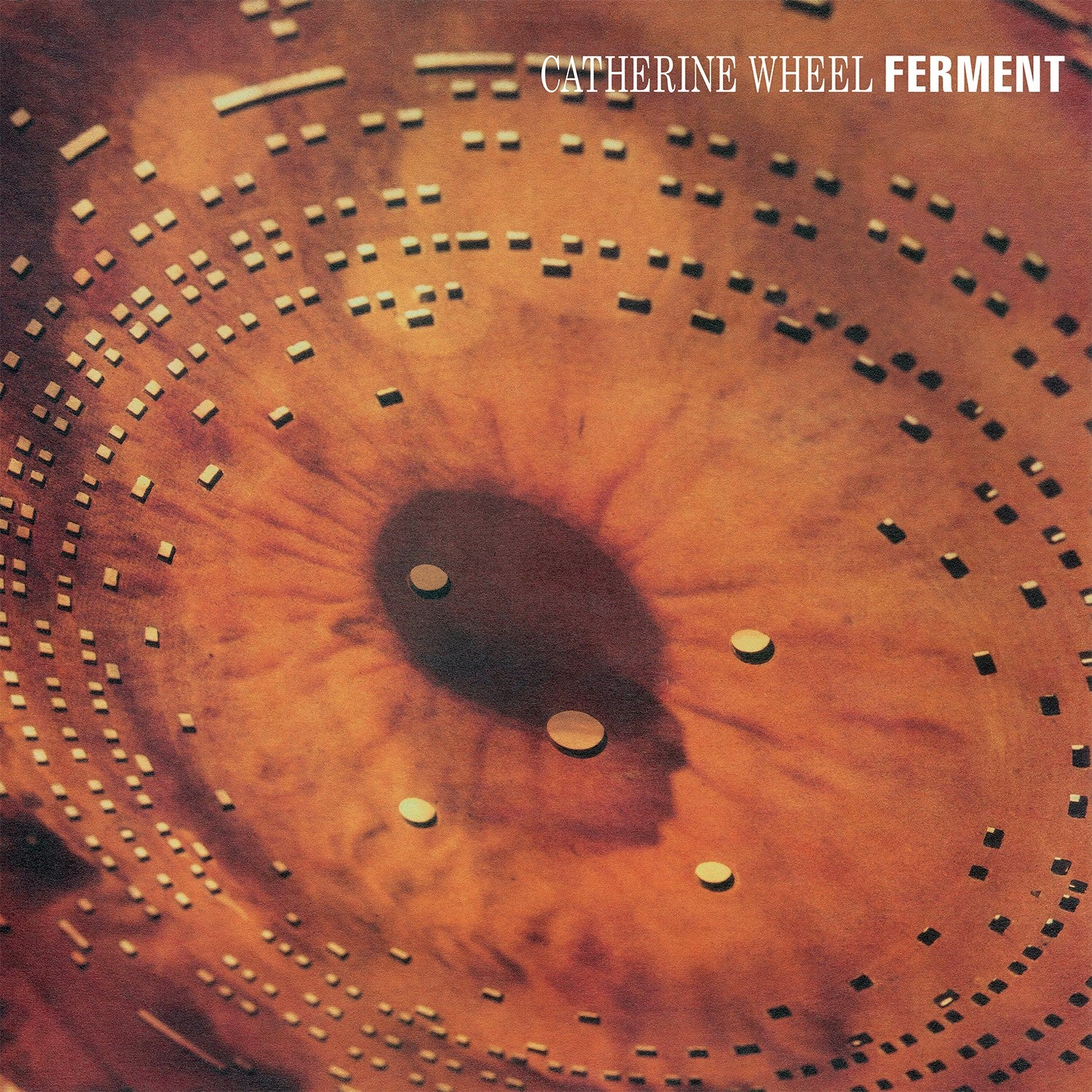 Ferment: Vinyl LP + 12" Vinyl