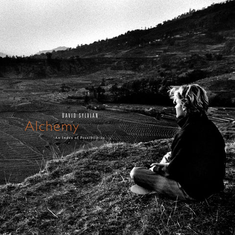 Alchemy: An Index Of Possibilities: Corona Gold Opaque Red Vinyl LP