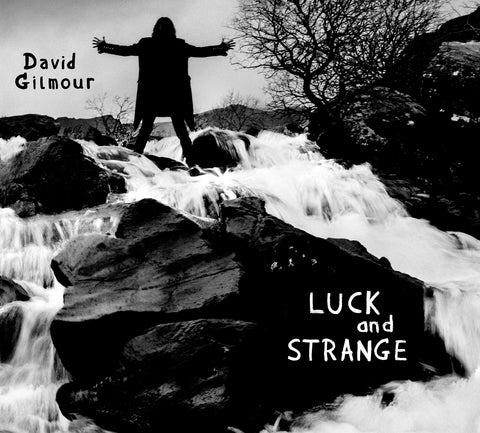 Luck and Strange: Opaque Silver Vinyl LP