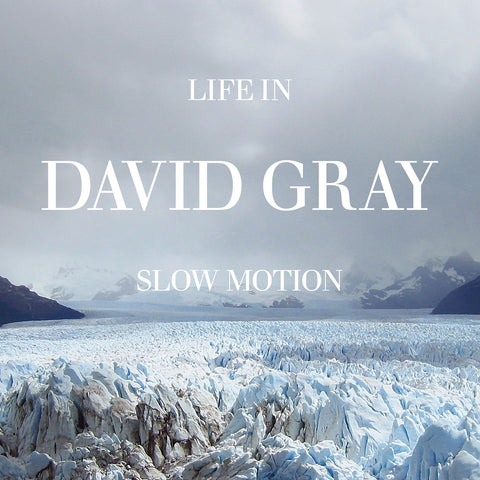 Life in Slow Motion (20th Anniversary Edition)