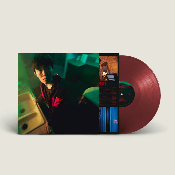 When Are You Leaving?: Oxblood Vinyl LP