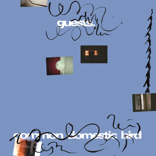 Common Domestic Bird: Vinyl LP