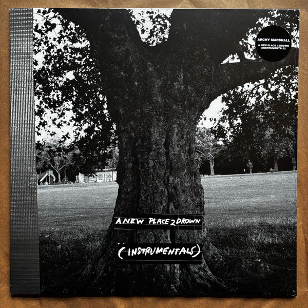 A New Place 2 Drown (Instrumentals): Vinyl LP