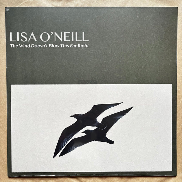 The Wind Doesn't Blow This Far Right: Vinyl EP