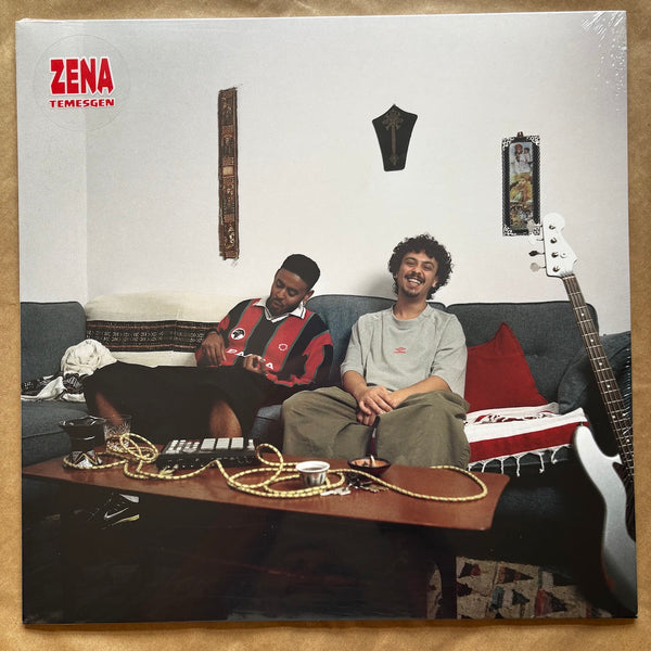 TEMESGEN: 12" Vinyl EP