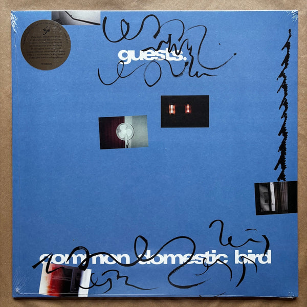 Common Domestic Bird: Vinyl LP