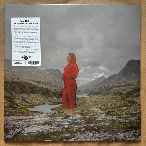 Evergreen In Your Mind: Vinyl LP