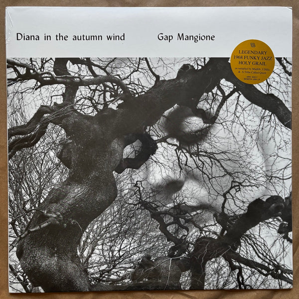 Diana In The Autumn Wind: Vinyl LP