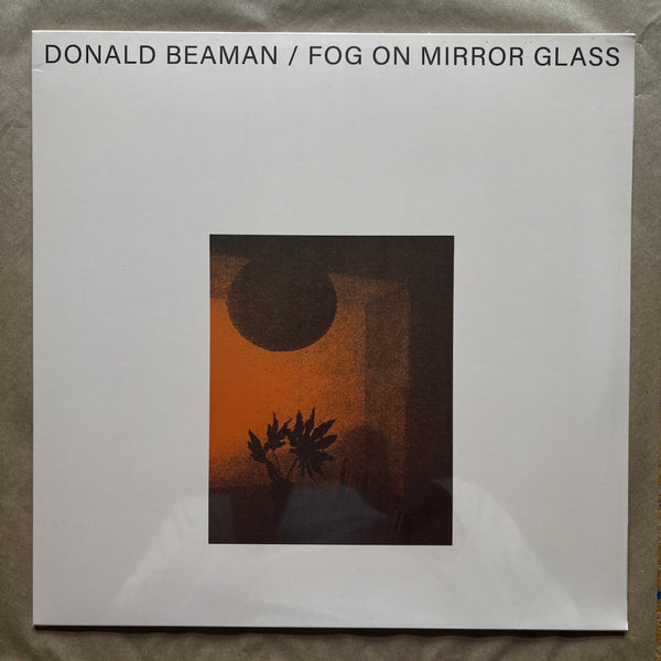 Fog On Mirror Glass: Vinyl LP