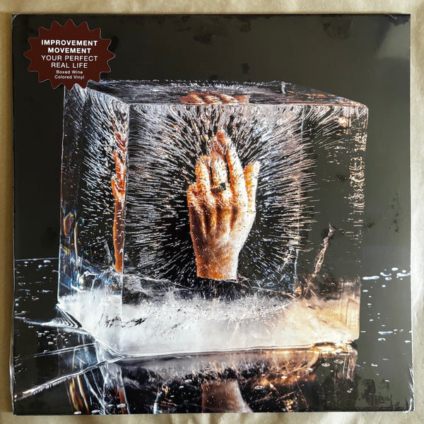 Your Perfect Real Life: Vinyl LP