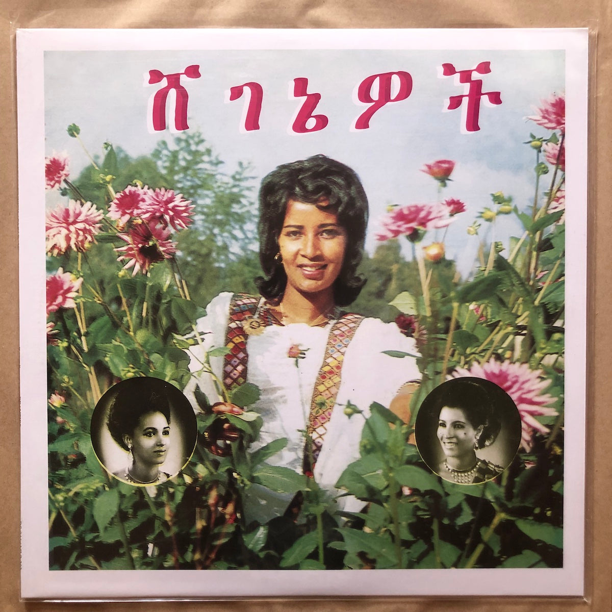 Beauties: Vinyl LP