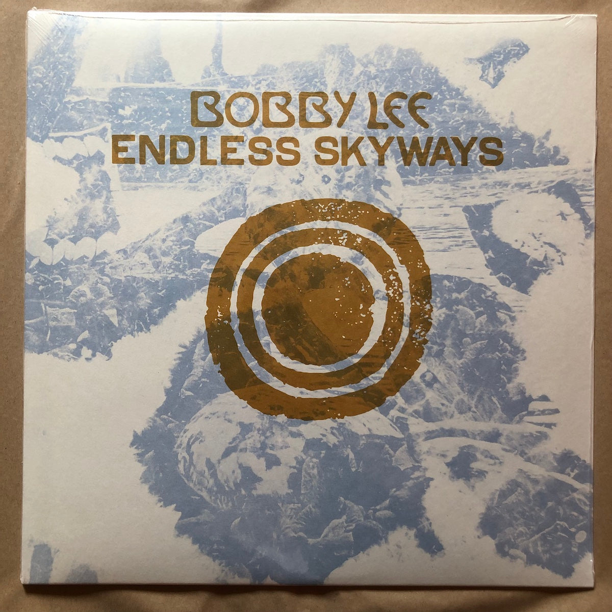 Endless Skyways: Vinyl LP