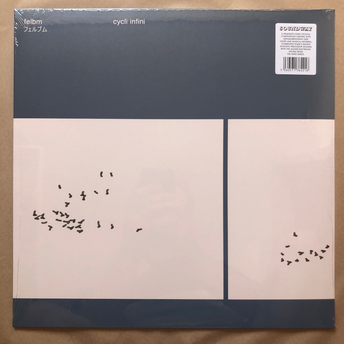 cycli infini: Vinyl LP