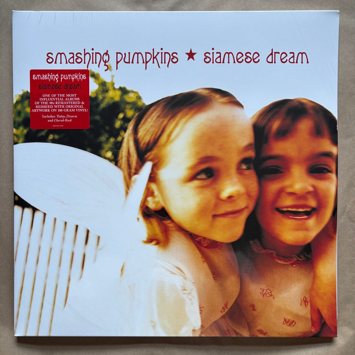 Siamese Dream: Double Vinyl LP