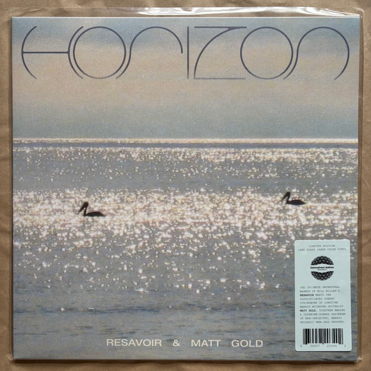 Horizon