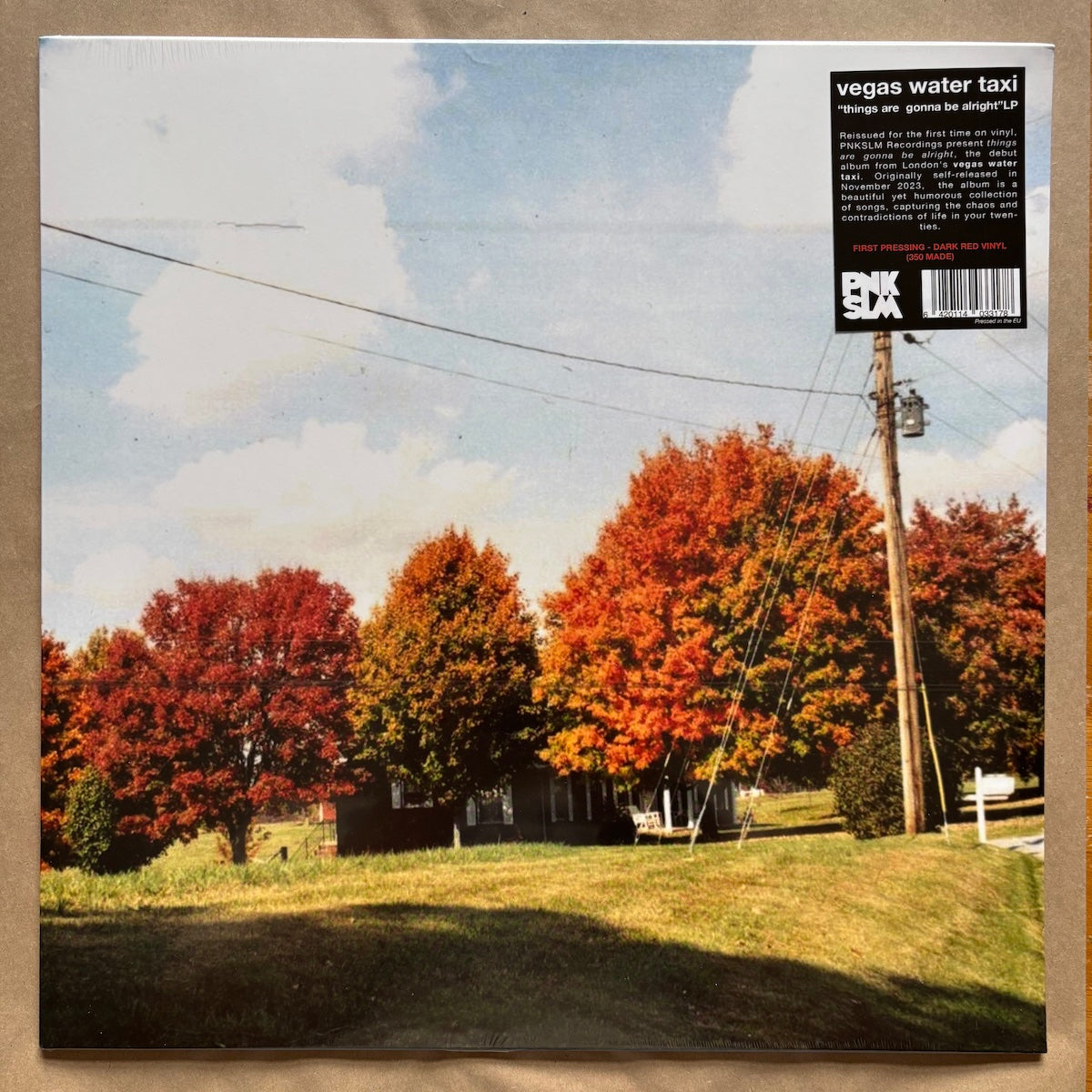 things are gonna be alright (extended edition): Red Vinyl LP