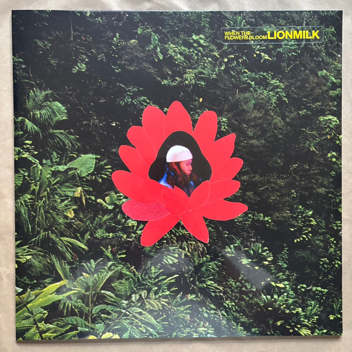 When The Flowers Bloom: Vinyl LP