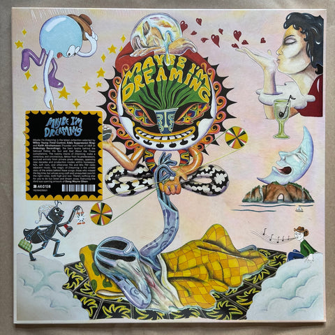 Maybe I'm Dreaming: Double Vinyl LP