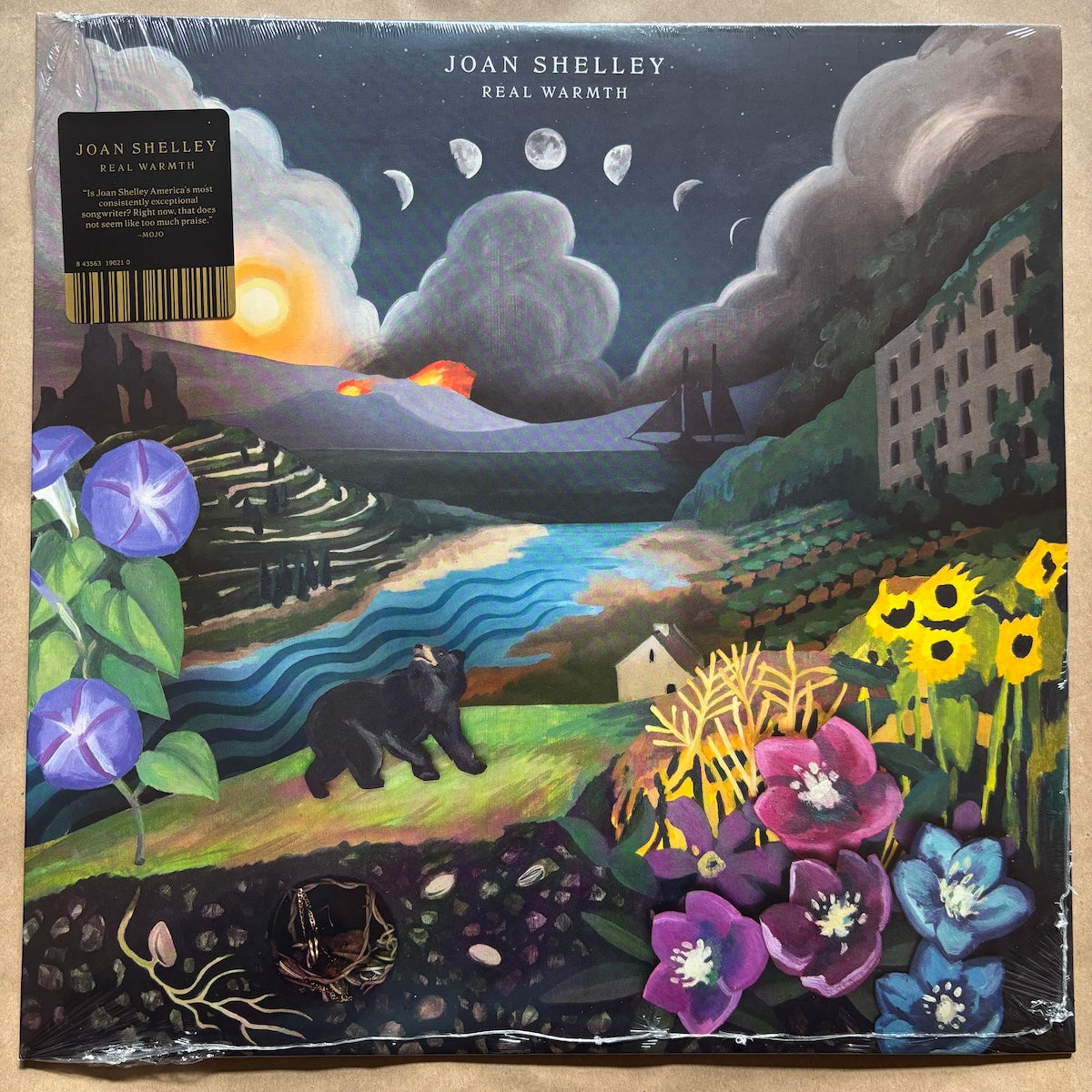 Real Warmth: Vinyl LP