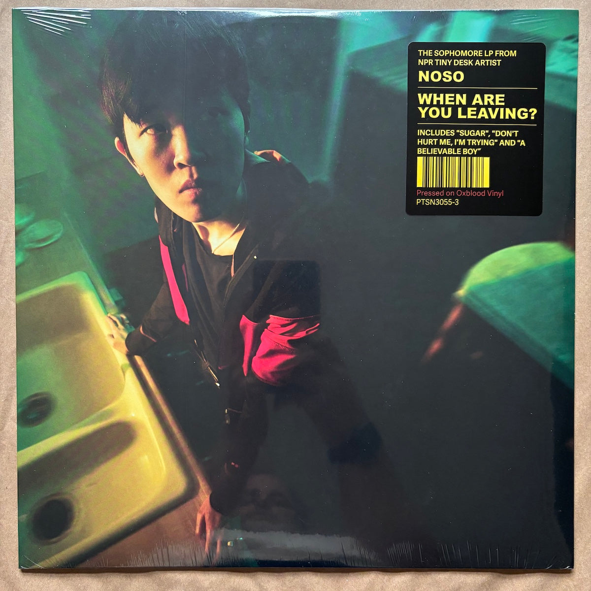 When Are You Leaving?: Oxblood Vinyl LP