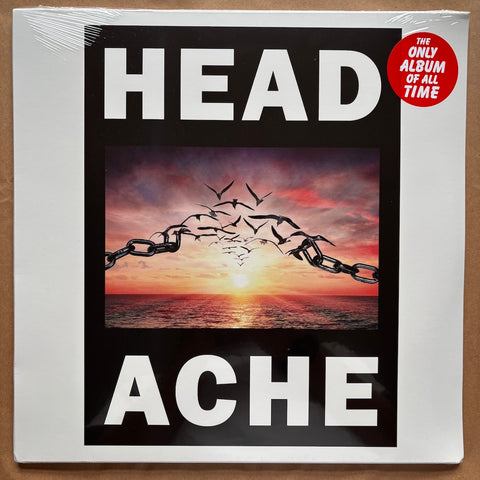 Thanks You For Almost Everything: Double Vinyl LP