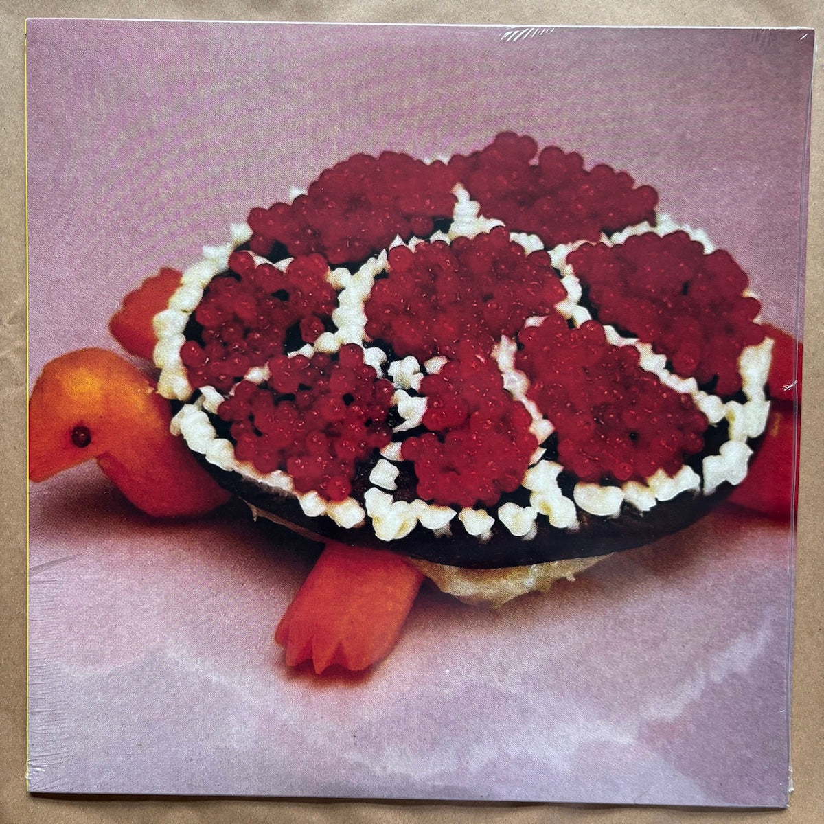 Turtle Rock: Vinyl LP