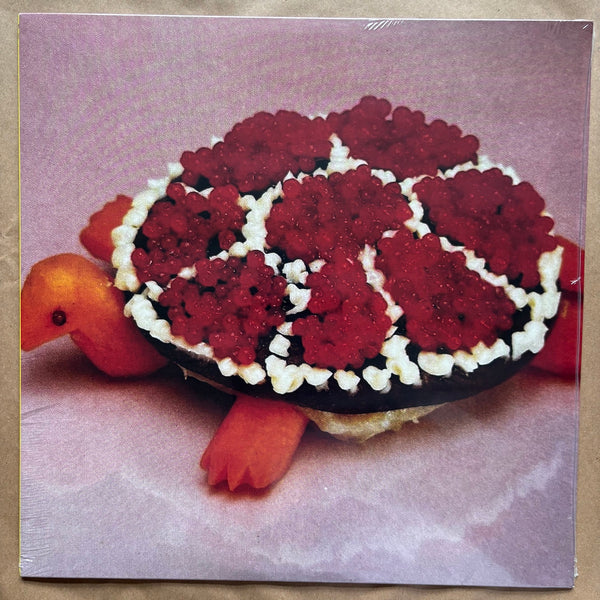 Turtle Rock: Vinyl LP