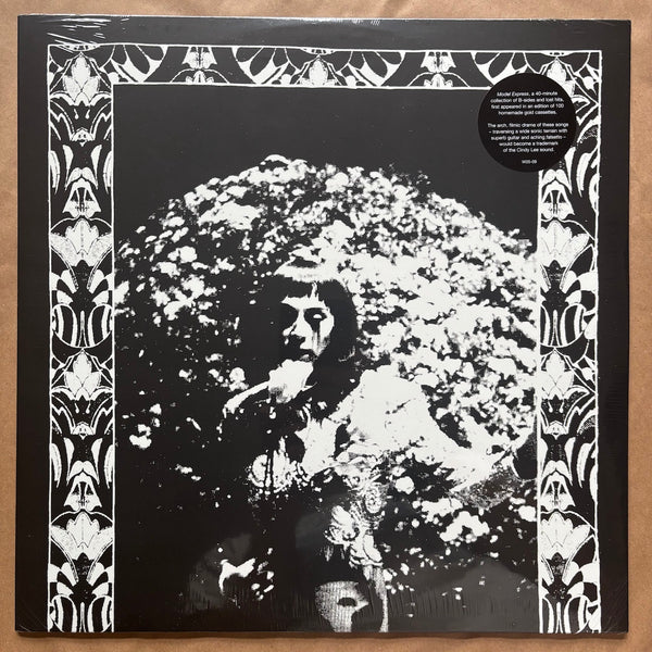 Model Express: Vinyl LP