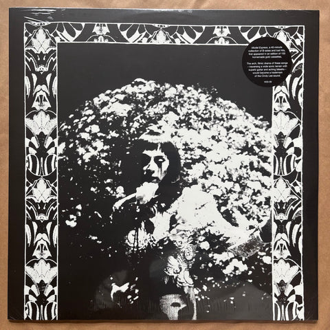 Model Express: Vinyl LP