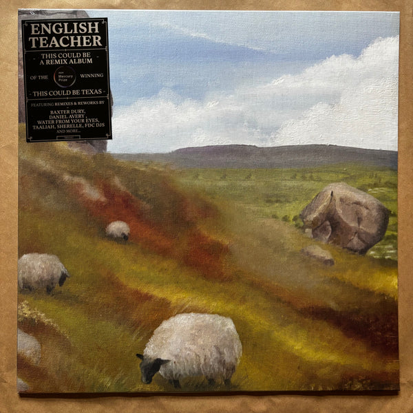 This Could Be a Remix Album: Vinyl LP