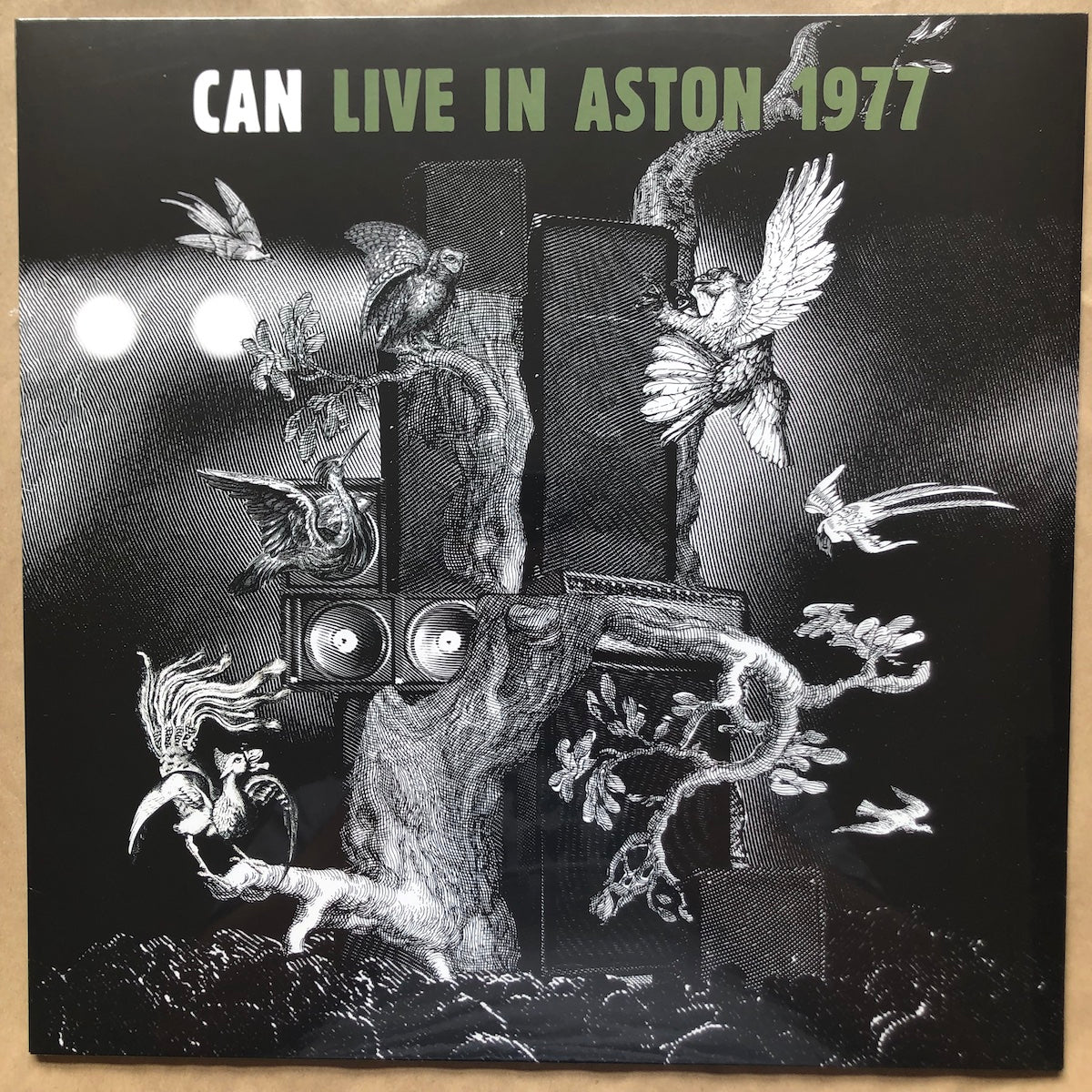 LIVE IN ASTON 1977: Vinyl LP
