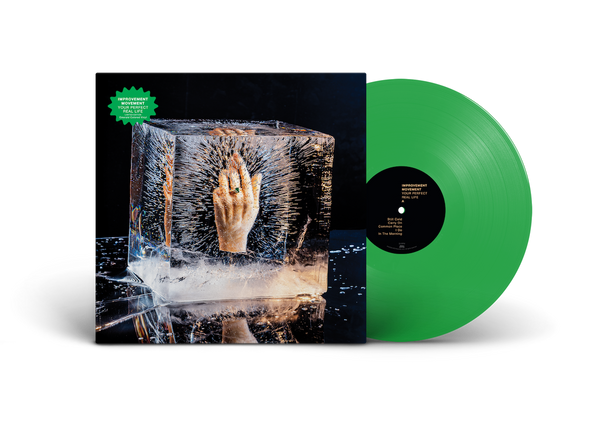 Your Perfect Real Life: Vinyl LP