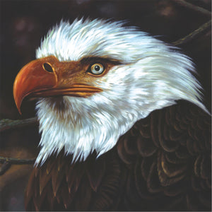 The Hawk Is Howling – 15th Anniversary Remaster: White Double Vinyl LP
