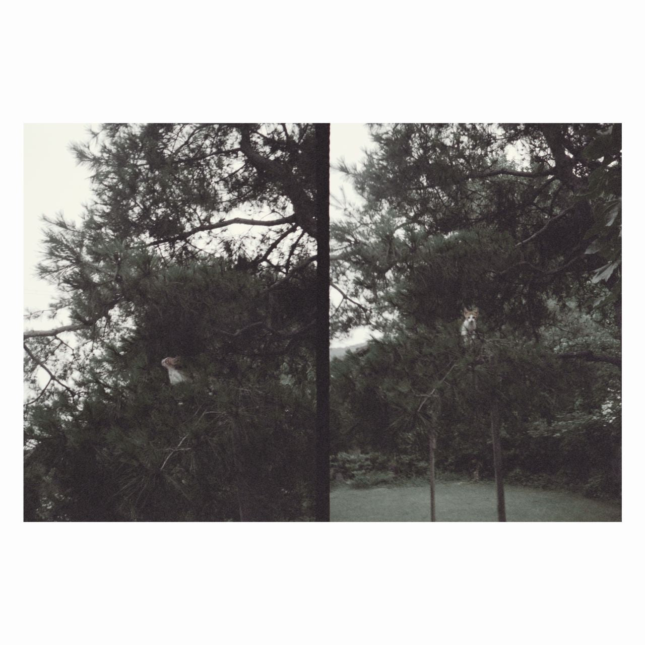 just like any other day (어느날) : background music for your mundane activities: Vinyl LP