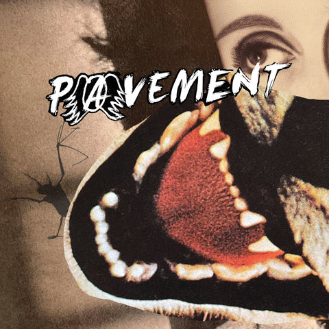 Hecklers Choice: Big Gums and Heavy Lifters - A Pavement Collection: Vinyl LP