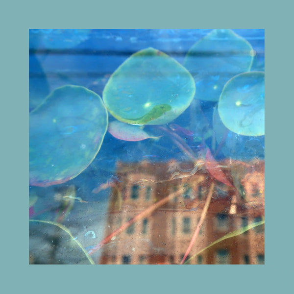 Acknowledge Kindness