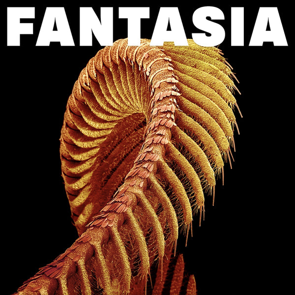 Fantasia: Loser Edition Sparkle Starlight Double Vinyl + Etched 4th Side